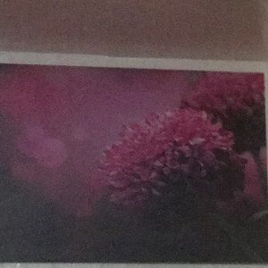 Meet your Posher, Jerome